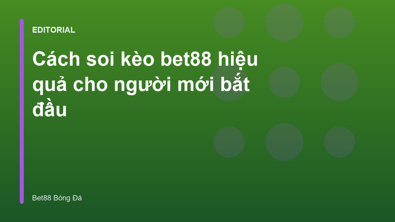 Người mới bắt đầu tìm hiểu cách soi kèo bóng đá
